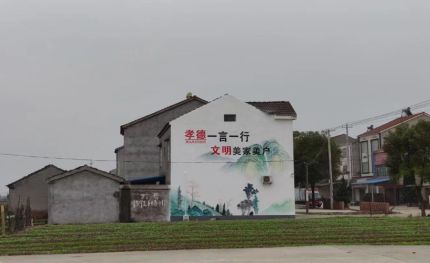 亳州新农村墙绘